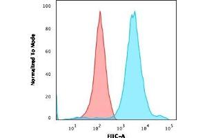 Flow Cytometric Analysis of HEK293 cells using Neurofilament Mouse Monoclonal Antibody (NF421) followed by goat anti-Mouse IgG-CF488 (Blue); Isotype control (Red). (NEFH Antikörper)