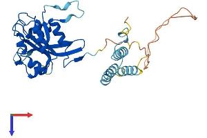 AAGAB Protein (AA 1-315) (His tag)
