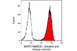 Flow Cytometry (FACS) image for anti-SWI/SNF Related, Matrix Associated, Actin Dependent Regulator of Chromatin, Subfamily E, Member 1 (SMARCE1) (C-Term) antibody (ABIN7795730)