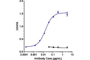 Immobilized human IL 5Rα His at 2 μg/mL can bind Anti-IL-5Ra/ CD125 Reference Antibody (benralizumab), EC50=0.