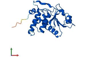 Protein Structure (PS) image for Dual Specificity Phosphatase 3 (DUSP3) (AA 1-185) protein (His tag) (ABIN7561101)