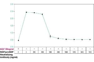 anti-Nerve Growth Factor (NGF) antibody