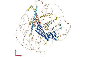 Protein Structure (PS) image for Formin 1 (FMN1) (AA 1-1466) protein (His tag) (ABIN7563597)
