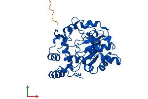 Protein Structure (PS) image for Sulfotransferase Family, Cytosolic, 1A, Phenol-Preferring, Member 3 (SULT1A3) (AA 1-295) protein (His tag) (ABIN7546364)