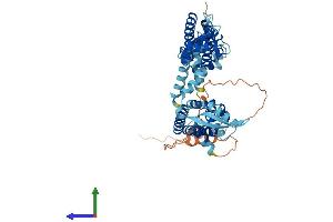 Protein Structure (PS) image for Potassium Voltage-Gated Channel, Shaw-Related Subfamily, Member 1 (KCNC1) (AA 1-511) protein (His tag) (ABIN7554263)