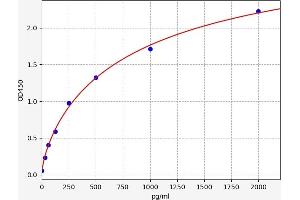 HNF1A ELISA Kit