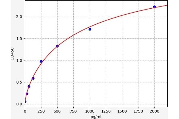 HNF1A ELISA Kit