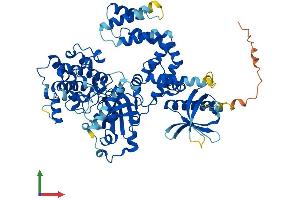 AlphaFold protein structure predicition of Human Recombinant GRK3 Protein, UniprotID P35626
