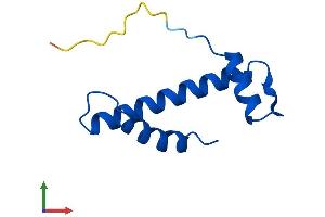 Protein Structure (PS) image for Centromere Protein W (CENPW) (AA 1-88) protein (His tag) (ABIN7553310)