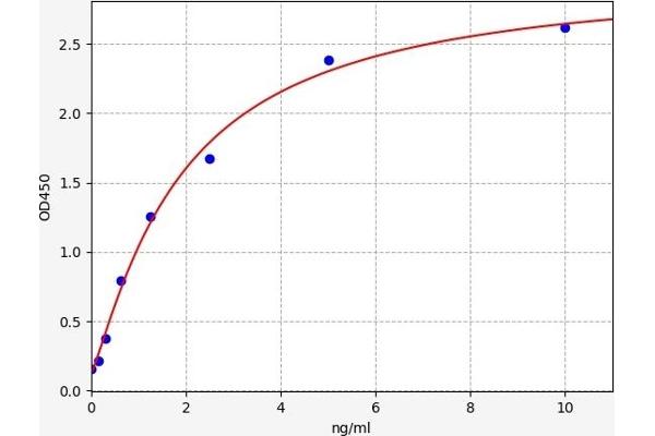 PRKACB ELISA Kit