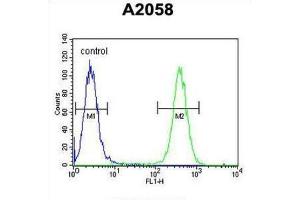 Flow Cytometry (FACS) image for anti-FK506 Binding Protein 10, 65 KDa (FKBP10) antibody (ABIN3003179) (FKBP10 Antikörper)