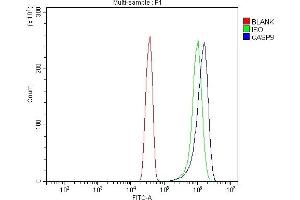 Flow Cytometry analysis of Hela cells using anti-Caspase-9/CASP9 antibody (ABIN7600340). (Caspase 9 Antikörper  (AA 18-416))