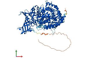 Protein Structure (PS) image for Aminopeptidase Puromycin Sensitive (NPEPPS) (AA 1-919) protein (His tag) (ABIN7555073)