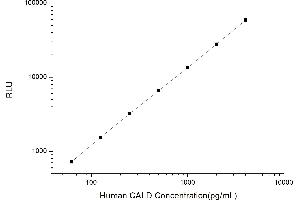Typical standard curve (Caldesmon CLIA Kit)