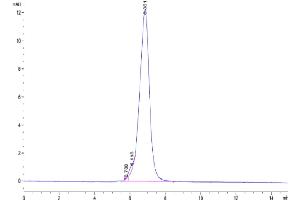 The purity of Human CDH17 is greater than 95 % as determined by SEC-HPLC. (LI Cadherin Protein (AA 23-787) (Fc Tag))