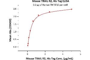 Immobilized Human TNFSF10 at 2 μg/mL (100 μL/well) can bind Mouse TRAIL R2, His Tag (ABIN6731245,ABIN6809883) with a linear range of 0.