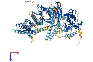ABR Protein (AA 1-859) (His tag)