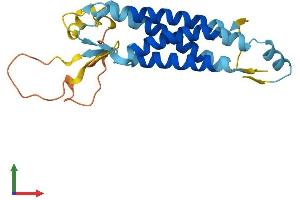 Protein Structure (PS) image for Lipoma HMGIC Fusion Partner-Like 2 (LHFPL2) (AA 1-222) protein (His tag) (ABIN7558539)