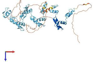 ZNF572 Protein (AA 1-529) (His tag)