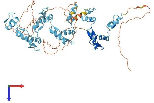 ZNF572 Protein (AA 1-529) (His tag)