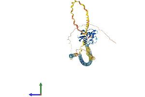 Protein Structure (PS) image for Macrophage Scavenger Receptor 1 (MSR1) (AA 1-458) protein (His tag) (ABIN7563080)