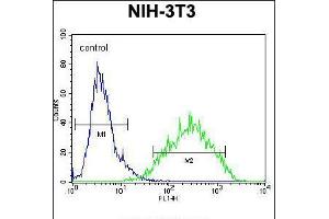 Flow cytometric analysis of NIH-3T3 cells (right histogram) compared to a negative control cell (left histogram). (RAN Antikörper  (AA 112-140))