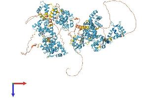 EFCAB6 Protein (AA 1-1501) (His tag)