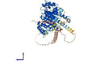 Protein Structure (PS) image for F-Box Protein 33 (FBXO33) (AA 1-555) protein (His tag) (ABIN7547672)