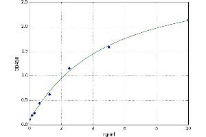 T-Box 2 (TBX2) ELISA Kit