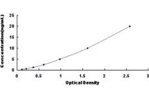 SUMO2 ELISA Kit