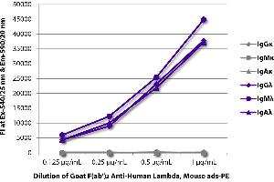 FLISA plate was coated with purified human IgGκ, IgMκ, IgAκ, IgGλ, IgMλ, and IgAλ. (Ziege anti-Human lambda (Chain lambda) Antikörper (PE) - Preadsorbed)
