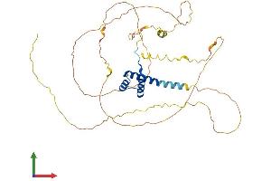 Protein Structure (PS) image for Motor Neuron and Pancreas Homeobox 1 (MNX1) (AA 1-404) protein (His tag) (ABIN7561844)