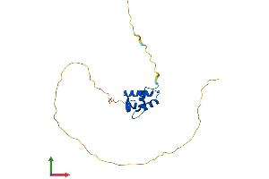 AlphaFold protein structure predicition of Mouse Recombinant H1-0 Protein, UniprotID P10922