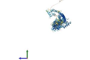 AlphaFold protein structure predicition of Mouse Recombinant Actn4 Protein, UniprotID P57780