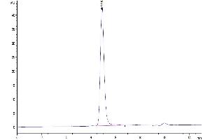 Size-exclusion chromatography-High Pressure Liquid Chromatography (SEC-HPLC) image for Complement Component (3d/Epstein Barr Virus) Receptor 2 (CR2) (AA 21-971) protein (His tag) (ABIN7274107)