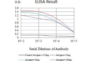 Black line: Control Antigen (100 ng),Purple line: Antigen (10 ng), Blue line: Antigen (50 ng), Red line:Antigen (100 ng) (CTNNBL1 Antikörper  (AA 390-557))