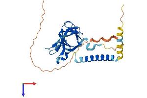 OIP5 Protein (AA 1-241) (His tag)