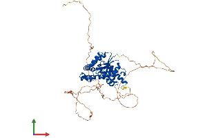 Protein Structure (PS) image for Eyes Absent Homolog 3 (EYA3) (AA 1-510) protein (His tag) (ABIN7563555)