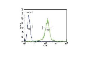 RDH10 Antibody (Center) (ABIN650935 and ABIN2840001) flow cytometric analysis of NCI- cells (right histogram) compared to a negative control cell (left histogram). (RDH10 Antikörper  (AA 106-135))