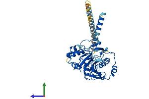 Protein Structure (PS) image for UDP-Gal:betaGlcNAc beta 1,4- Galactosyltransferase, Polypeptide 5 (B4GALT5) (AA 1-388) protein (His tag) (ABIN7561717)