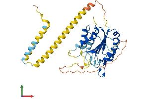 Protein Structure (PS) image for Caspase 12 (Gene/pseudogene) (CASP12) (AA 1-341) protein (His tag) (ABIN7553032)