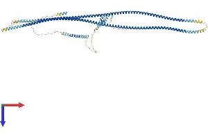 GOLGA1 Protein (AA 1-758) (His tag)