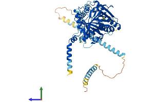 AlphaFold protein structure predicition of Mouse Recombinant Csgalnact2 Protein, UniprotID Q8C1F4