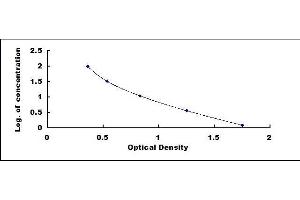 Rabbit Capture antibody from the kit in ELISA with Positive Control: Human, rat, mouse serum. (Corticosterone ELISA Kit)