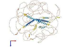 MAML1 Protein (AA 1-1020) (His tag)