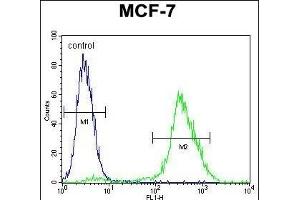 PCA Antibody (C-term) (ABIN655112 and ABIN2844743) flow cytometric analysis of MCF-7 cells (right histogram) compared to a negative control cell (left histogram). (PMPCA Antikörper  (C-Term))