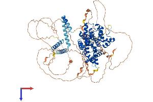PDE4A Protein (AA 1-886) (His tag)