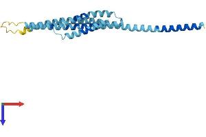 GOSR2 Protein (AA 1-212) (His tag)