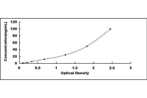 HSPD1 ELISA Kit