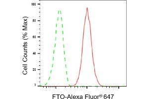 Flow cytometric analysis of FTO expression in HepG2 cells using FTO antibody (ABIN7798580), 1:2,000). (Rekombinanter FTO Antikörper)